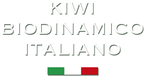 kiwi-parlapiano-biodinamico-italiano